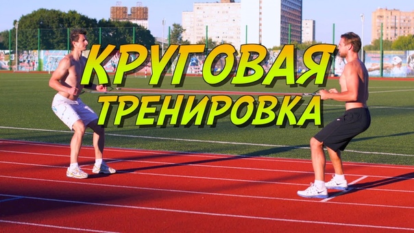 Комплексы упражнений