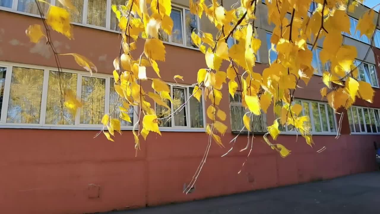 Школьный архив