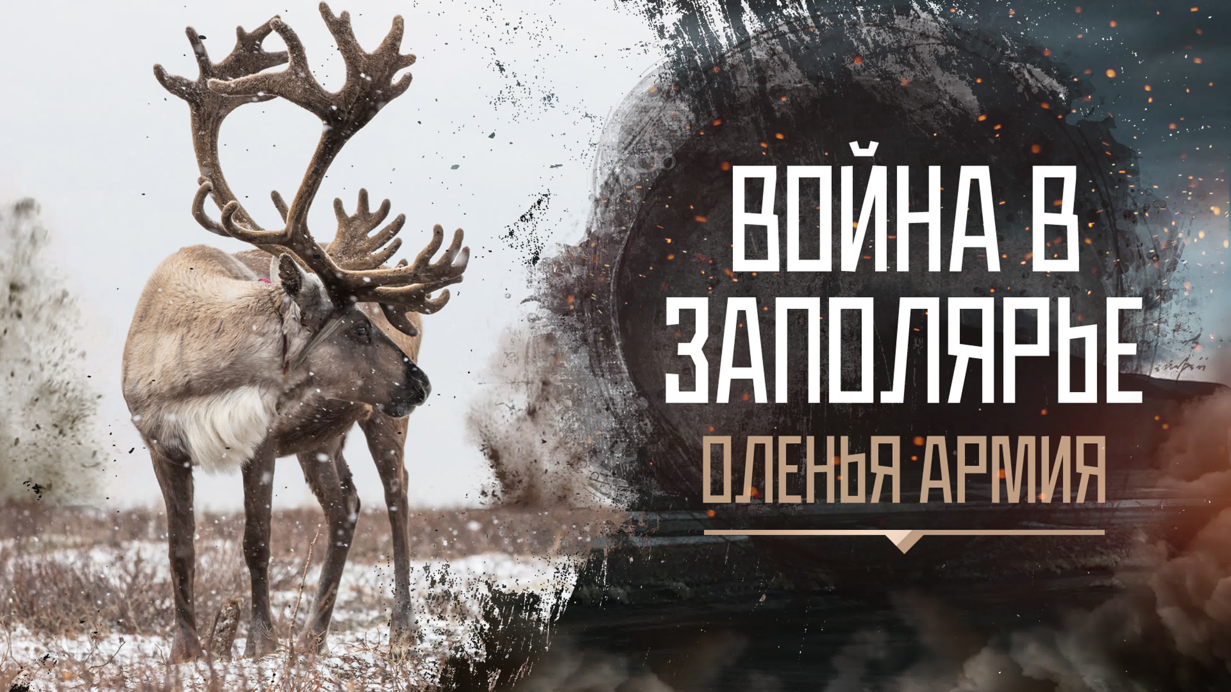Война в Заполярье