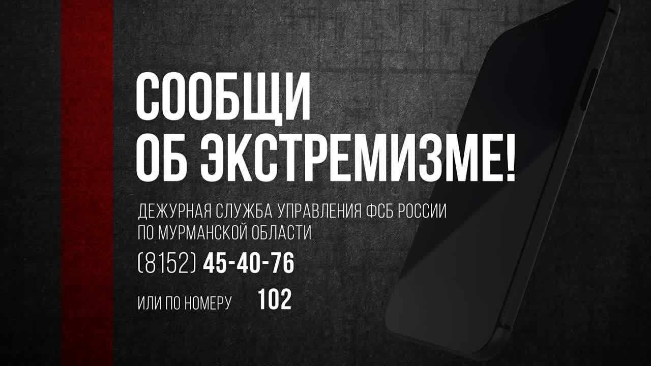 Мурманские проекты