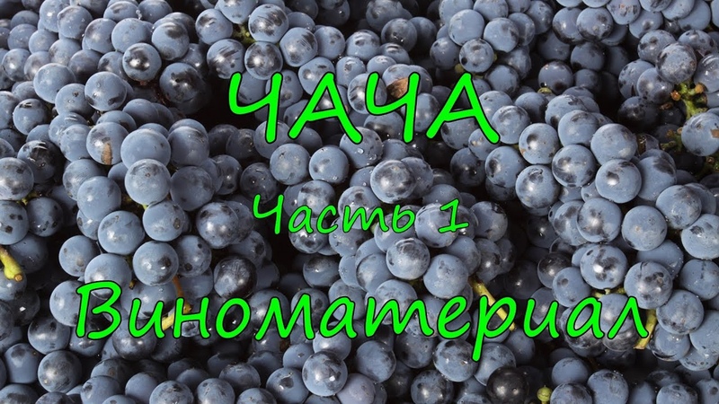 ЧАЧА