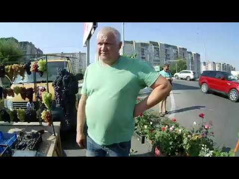 ЛИПЕЦКИЙ ВИНОГРАД.