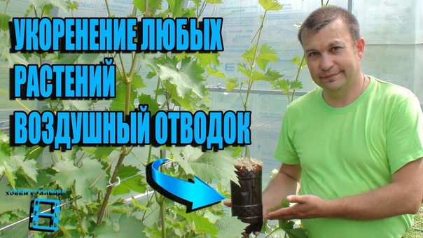 ВОЗДУШНЫЙ ОТВОДОК