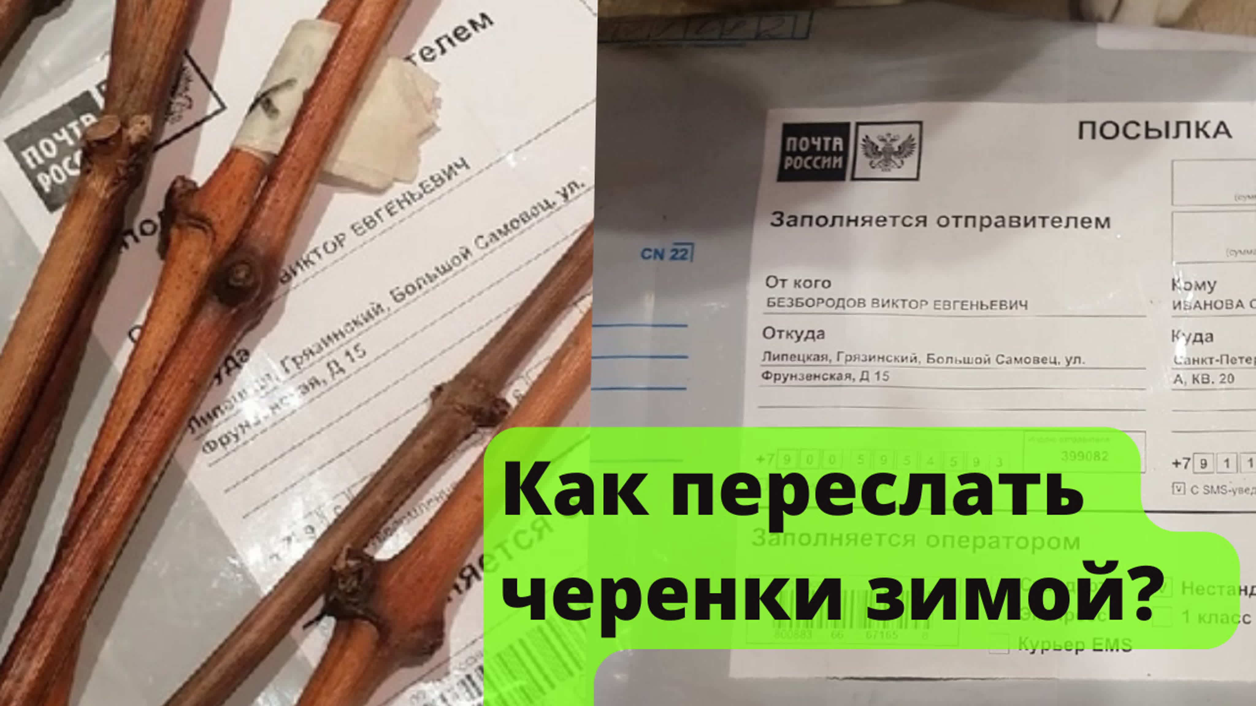 ОБУЧАЮЩЕЕ ВИДЕО ДЛЯ ВИНОГРАДАРЕЙ.