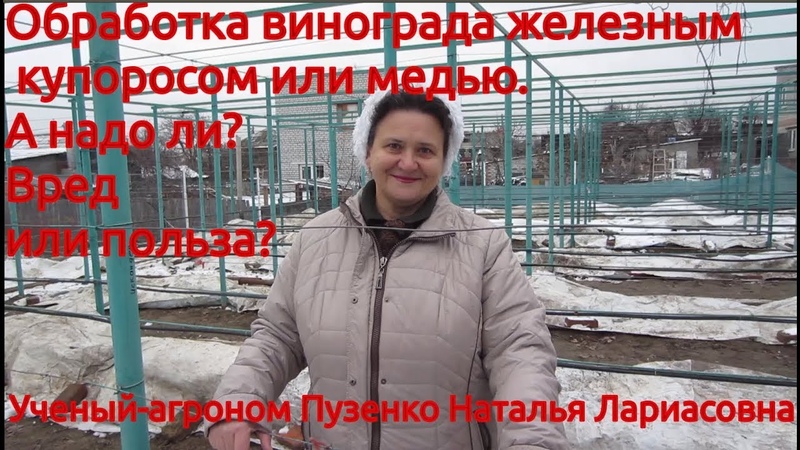 СЕКРЕТЫ МАСТЕРСТВА ОТ ОПЫТНЫХ ВИНОГРАДАРЕЙ.