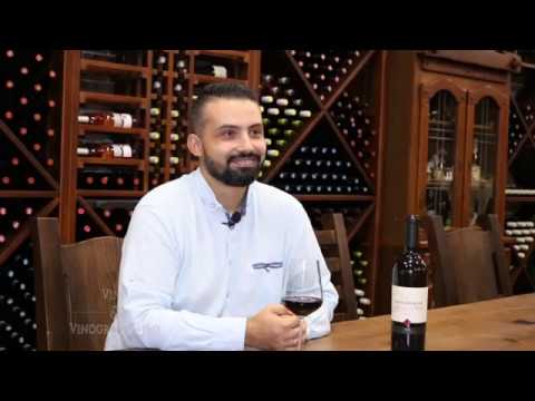 ХОРВАТСКИЙ ВИНОГРАД. Branislav Markovic