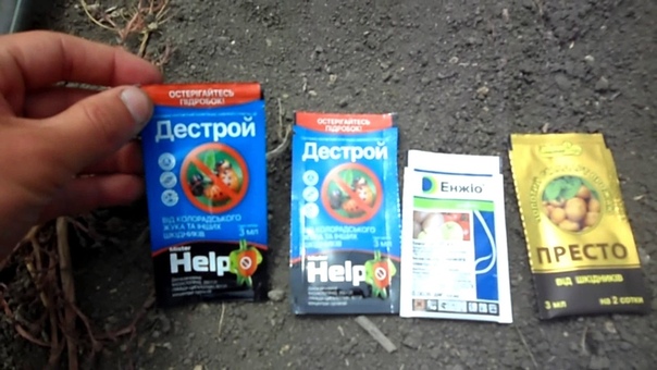 БУЙВОЛОВИДНАЯ ЦИКАДА - ВРЕДИТЕЛЬ ВИНОГРАДА.