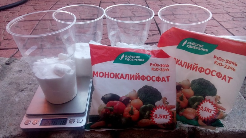 БОЛЕЗНЬ ВИНОГРАДА МИЛДЬЮ