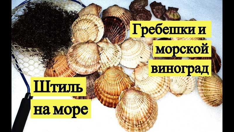 РЕЦЕПТЫ БЛЮД  С ВИНОГРАДОМ.