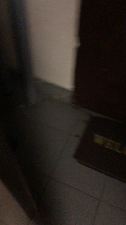 РАЗНОЕ