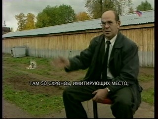 Волкособы