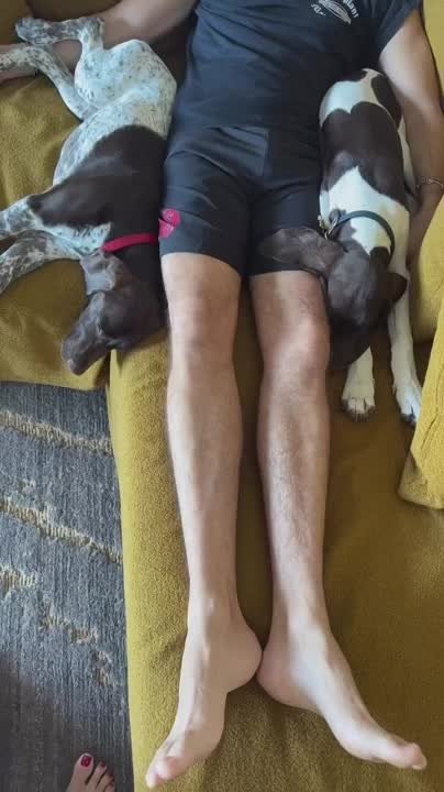 Instagram Stories Heidi Klum