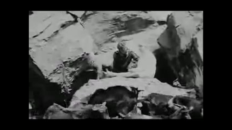 Алехандро Ходоровски