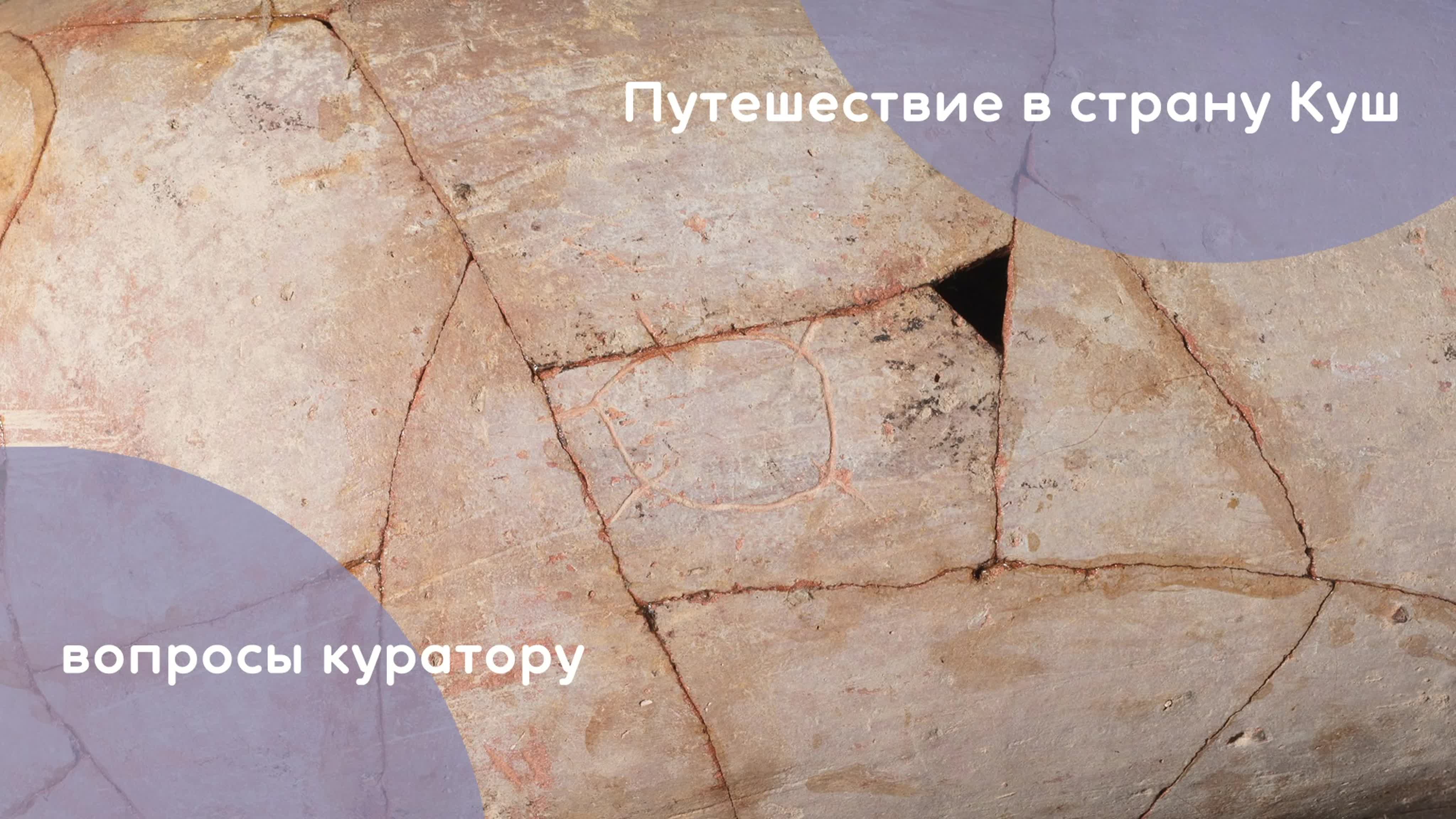 Экскурсии по музеям и выставкам
