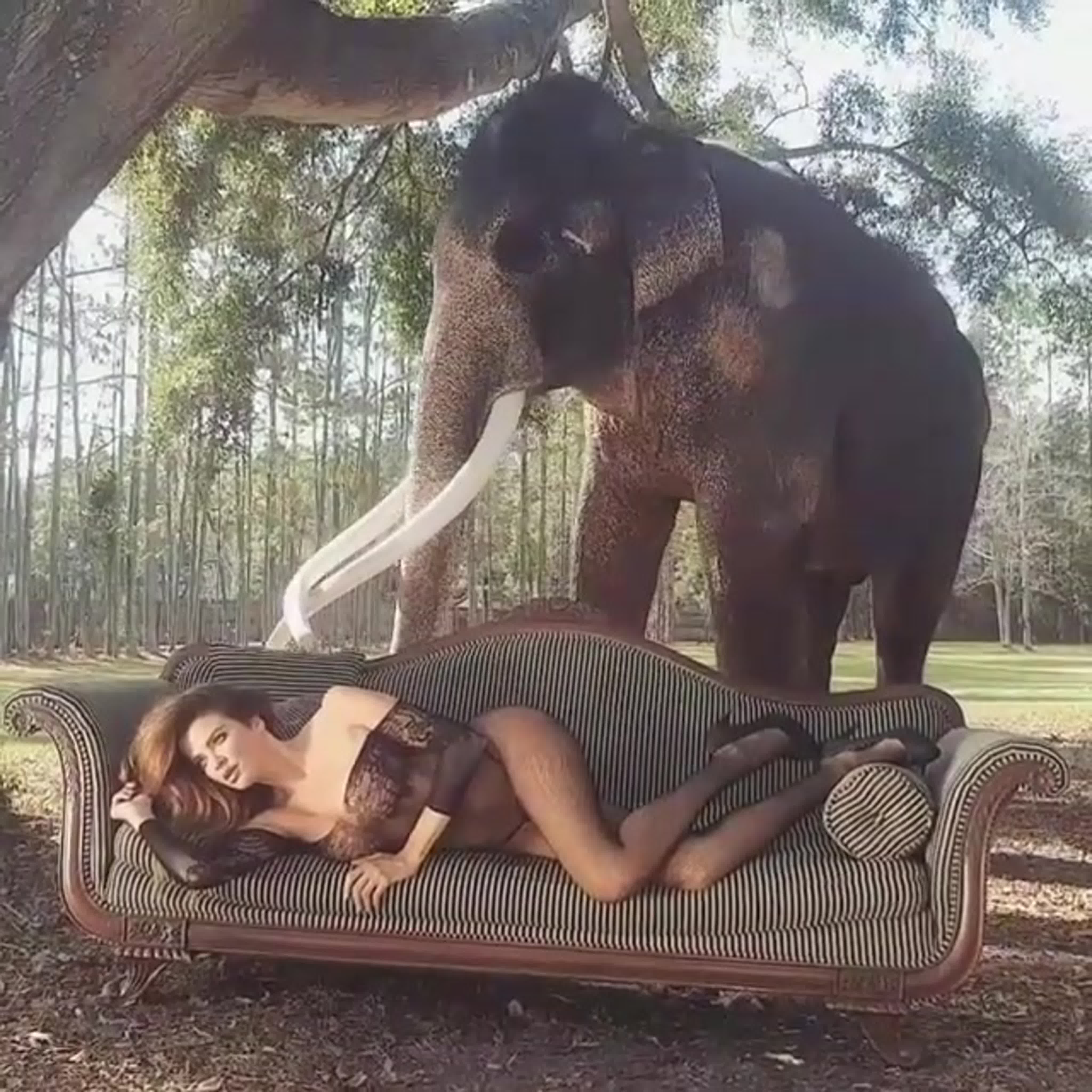 ✨ Dana Hamm ✨