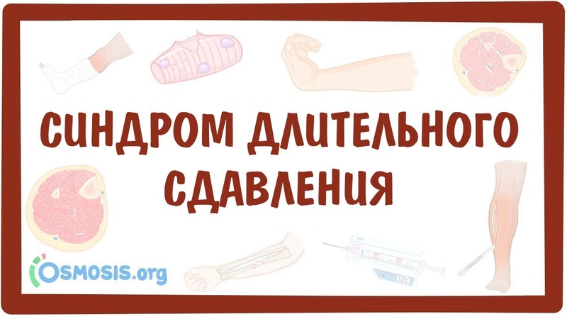 Патогенное воздействие факторов окружающей среды. Стресс