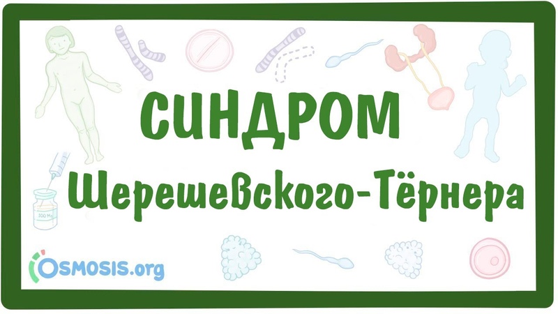 Роль наследственности и возраста в патологии