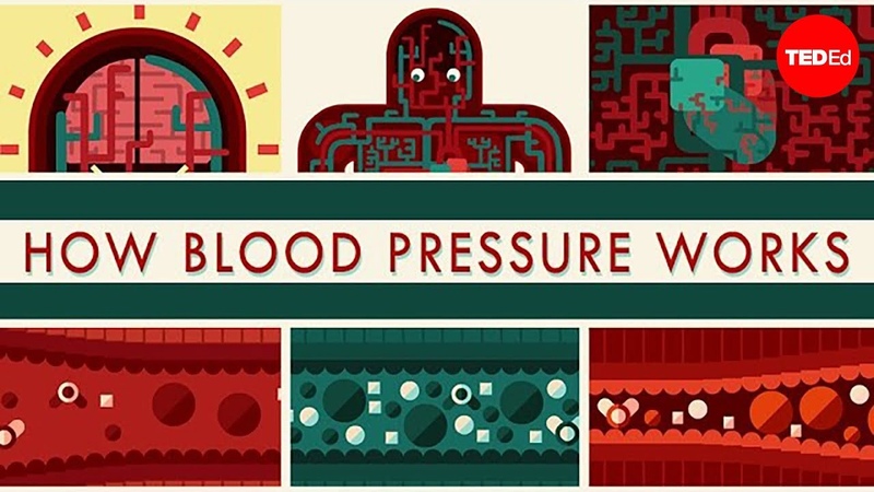 Circulatory disorders with vessels dysfunction