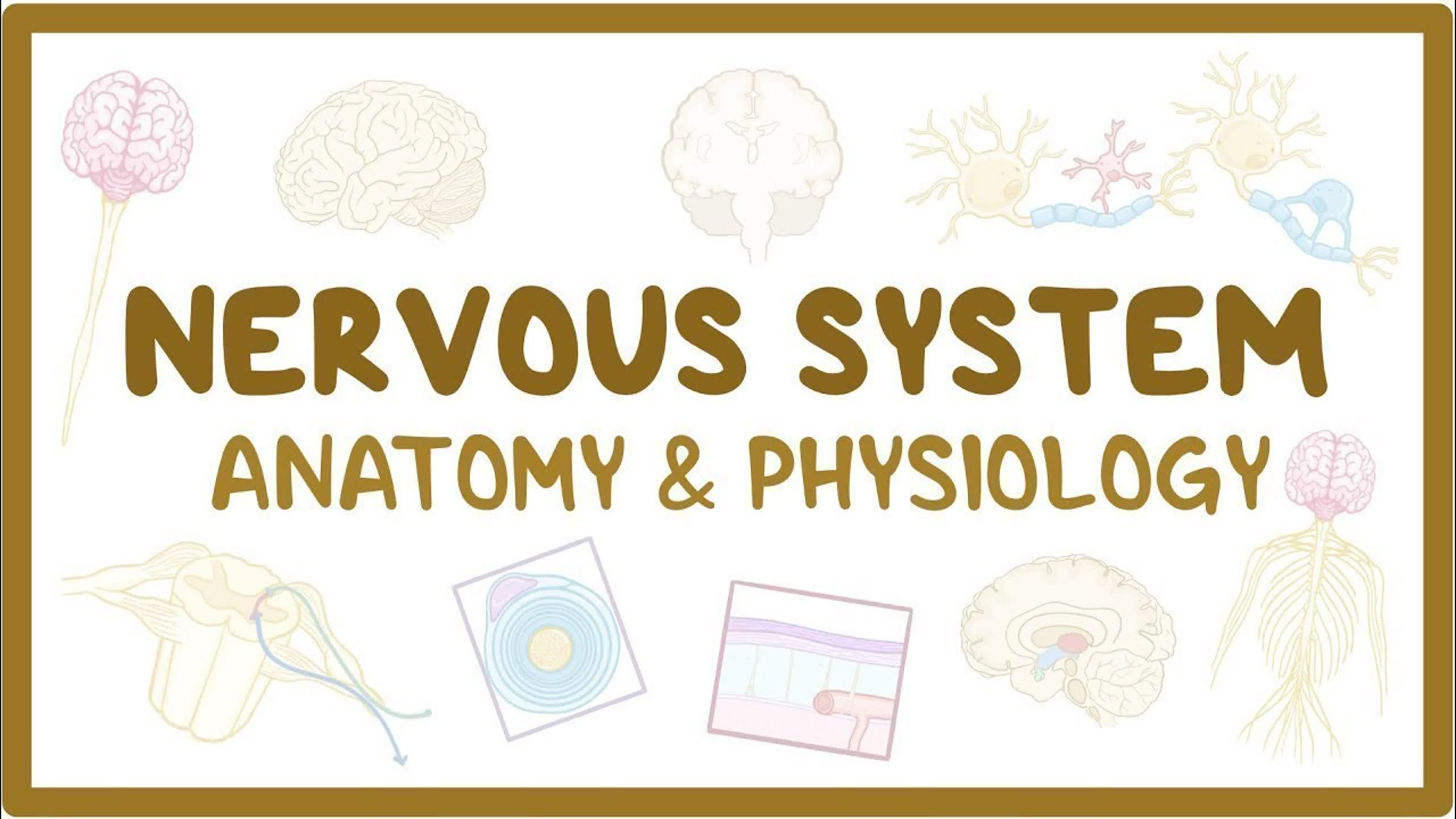 Pathophysiology of nervous system