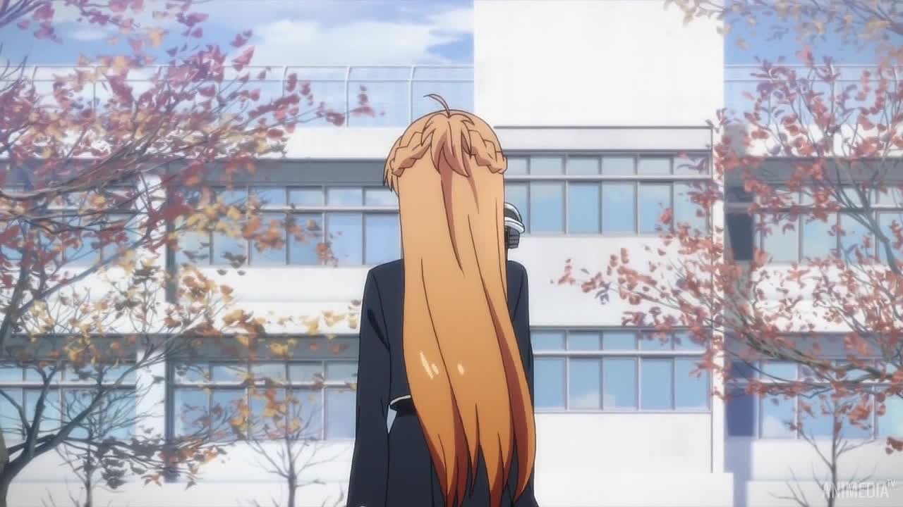 [117] Sword Art Online TV-2 / Мастера меча онлайн ТВ-2