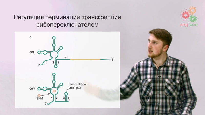 Молекулярная биология.