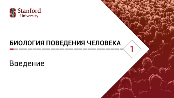 Биология поведения человека