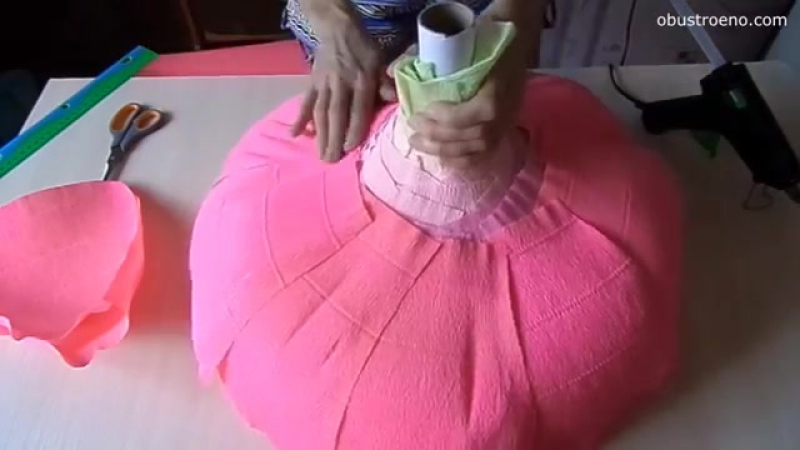 Ранунклюсы