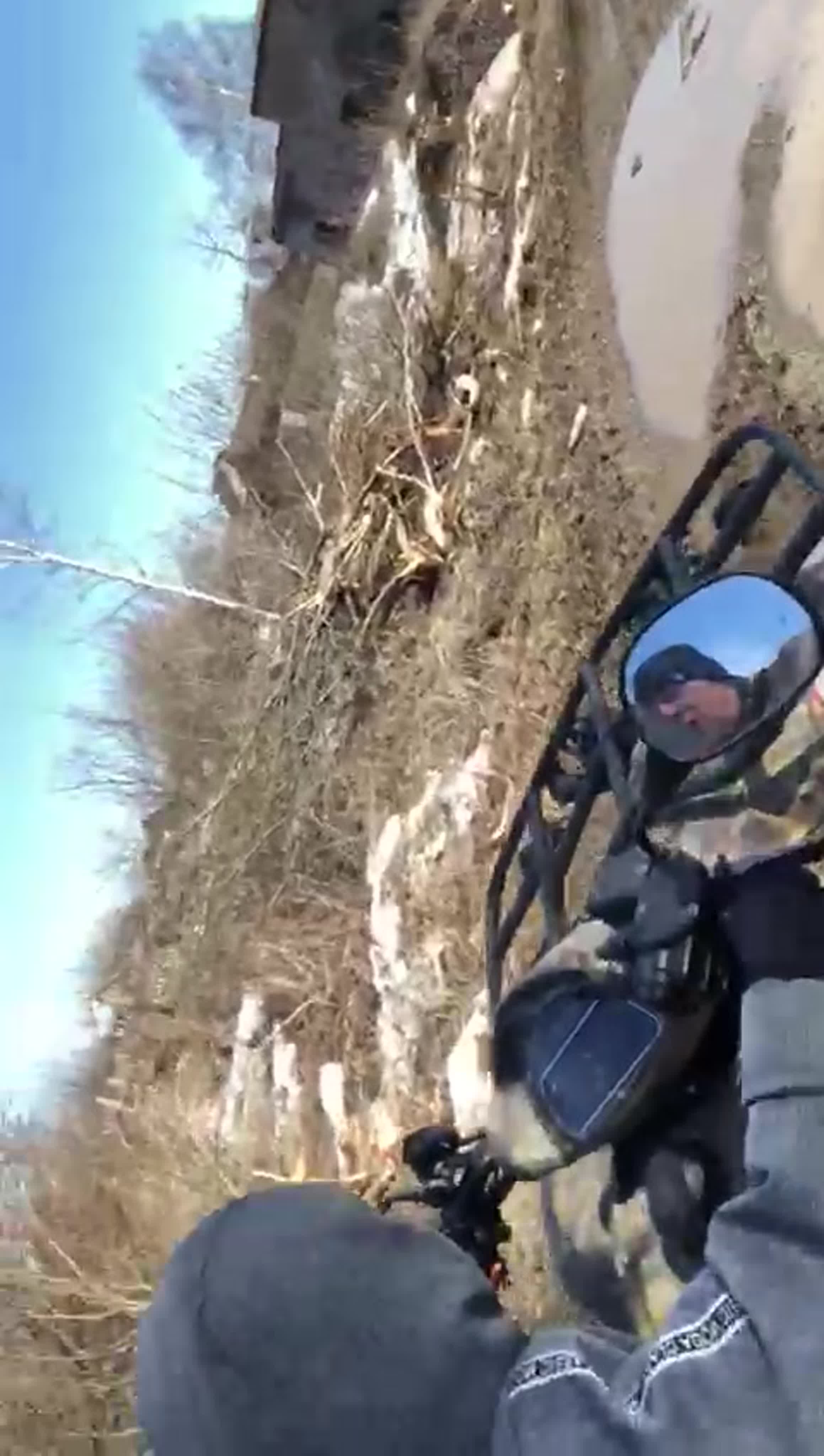 группа "Почемучки"