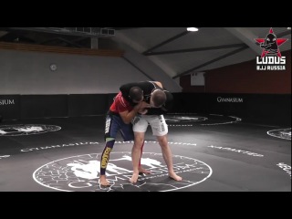 Ludus Team