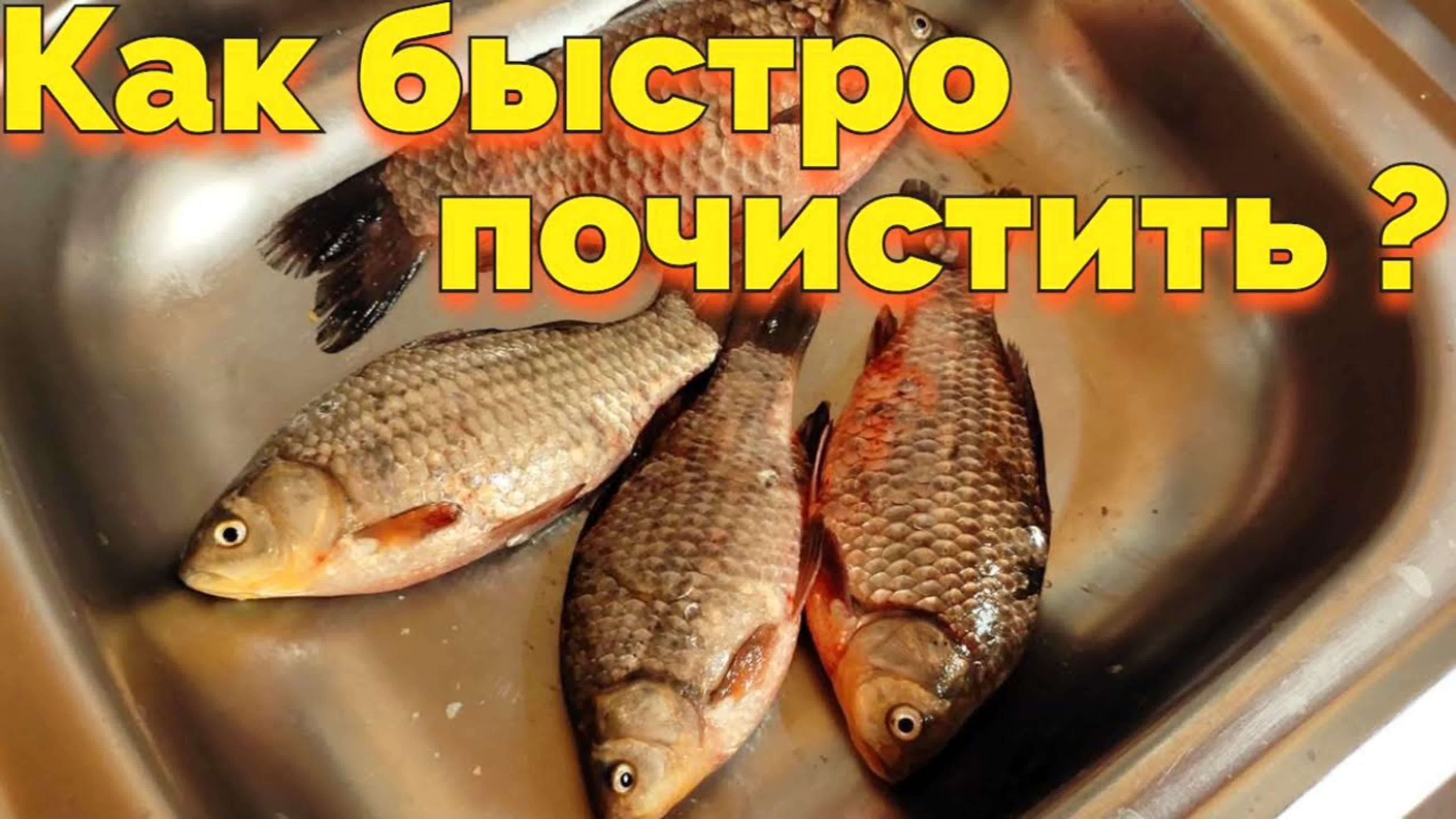 КУЛИНАРНЫЕ РЕЦЕПТЫ )