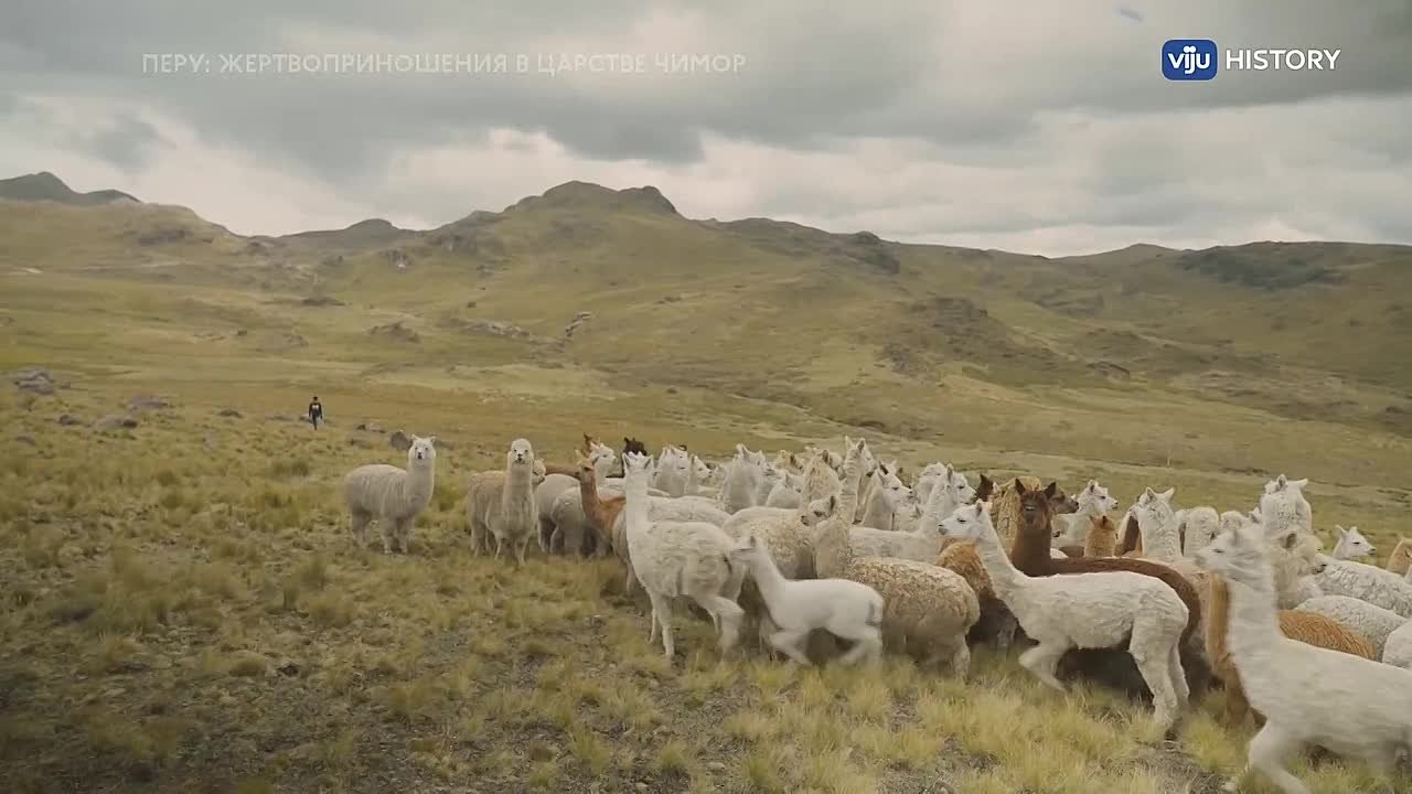 Археология и Антропология