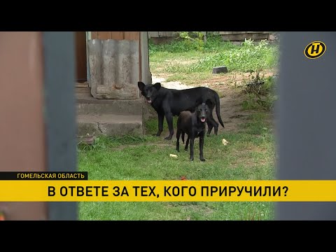 Наши новости