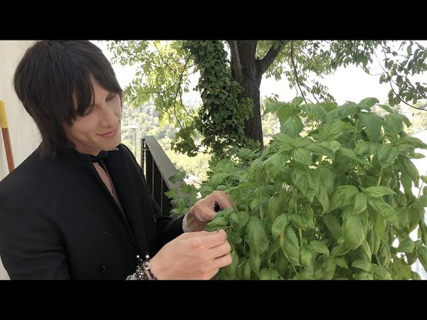 Cooking with Sebastian