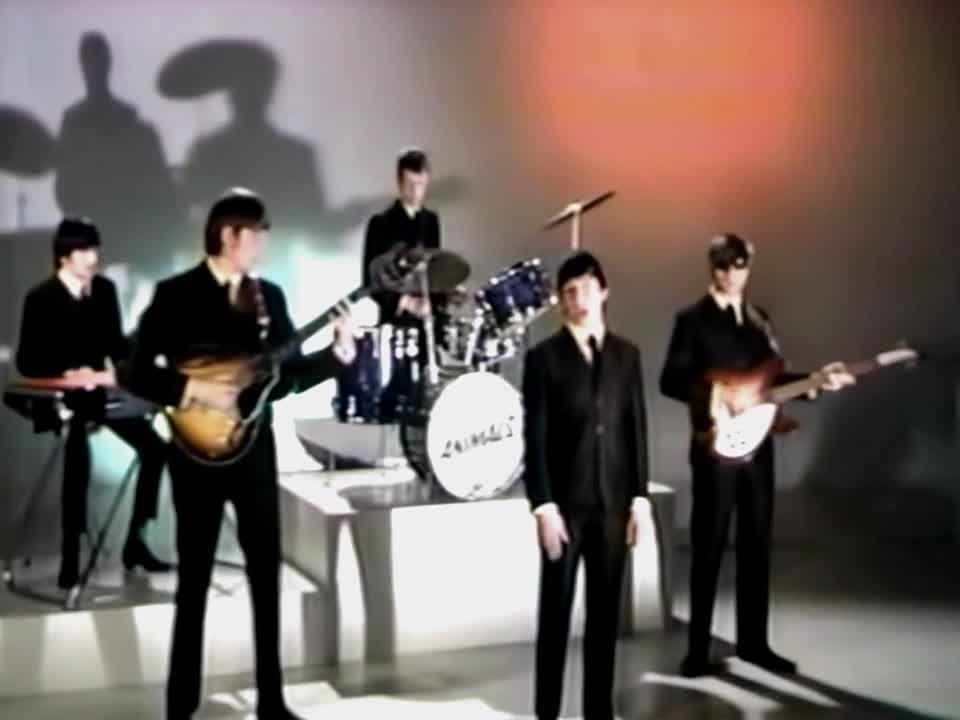 The Animals