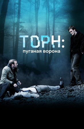 Сериал Торн.