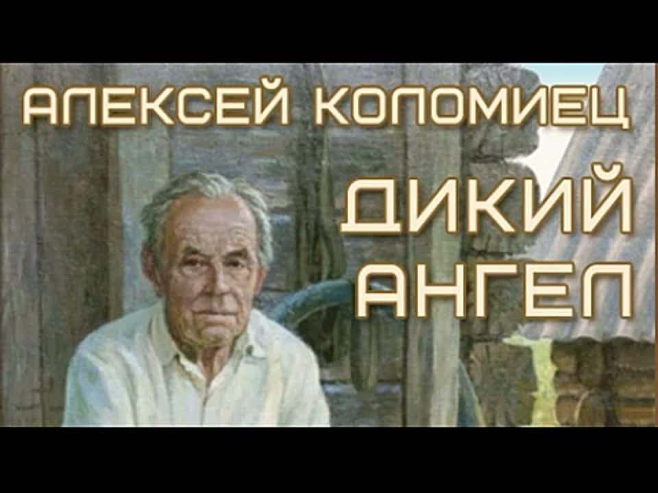 Алексей Коломиец. Дикий Ангел