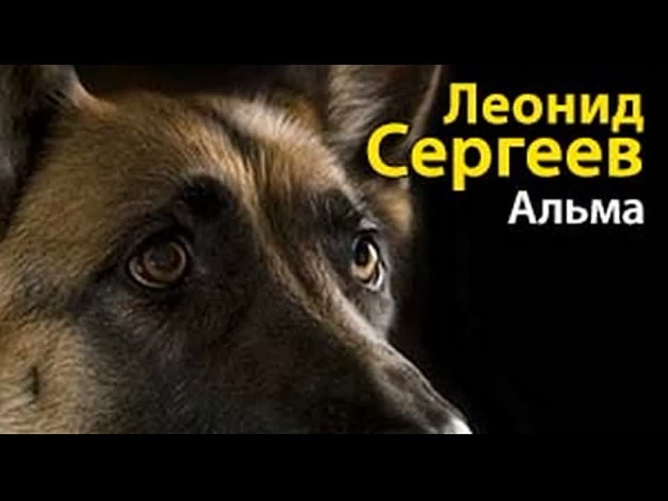 Леонид Сергеев. Альма