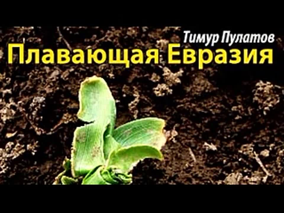 Тимур Пулатов. Плавающая Евразия