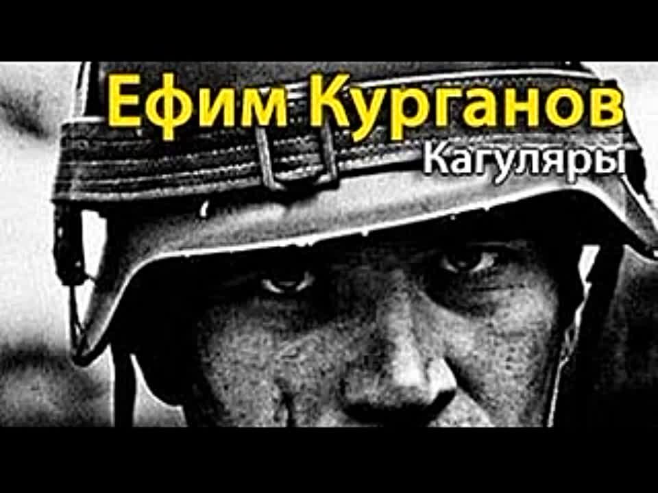 Ефим Курганов. Кагуляры