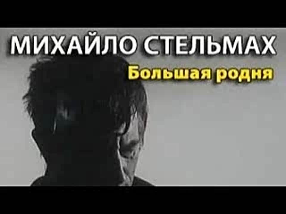 Михаил Стельмах. Большая родня