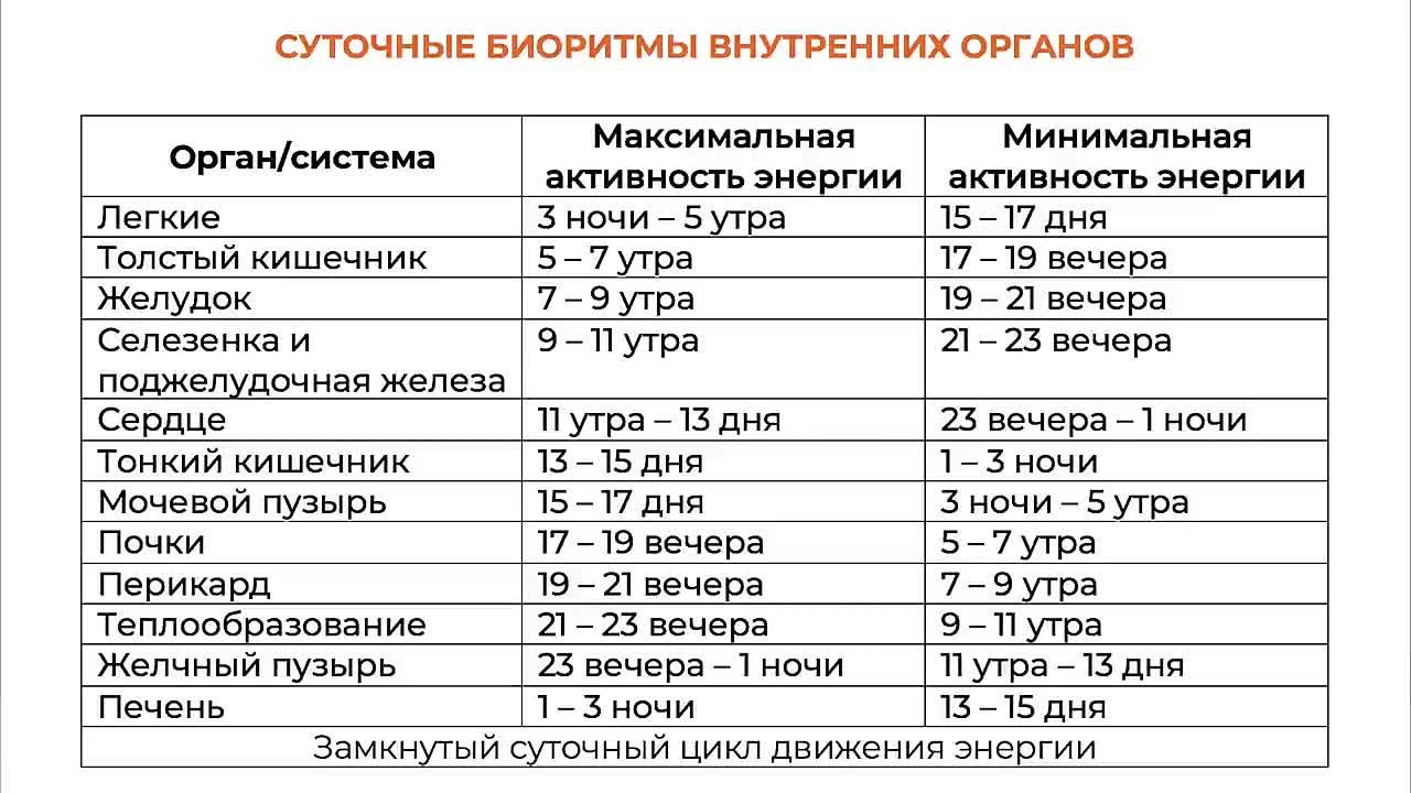 Физиология человека