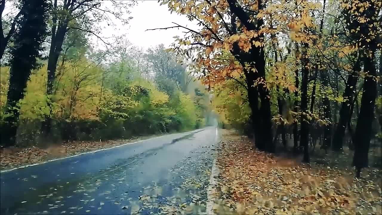 Музыка