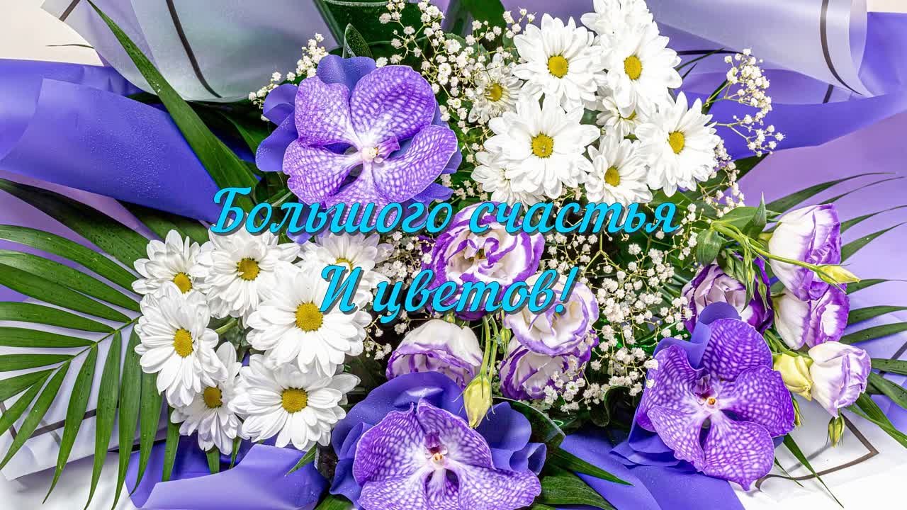 Краткая информация о канале (Brief information about the channel)