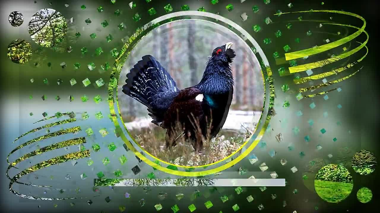 Работы видео мастеров