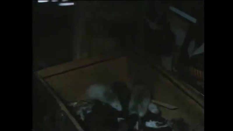 Фильмы с Александром Казаковым