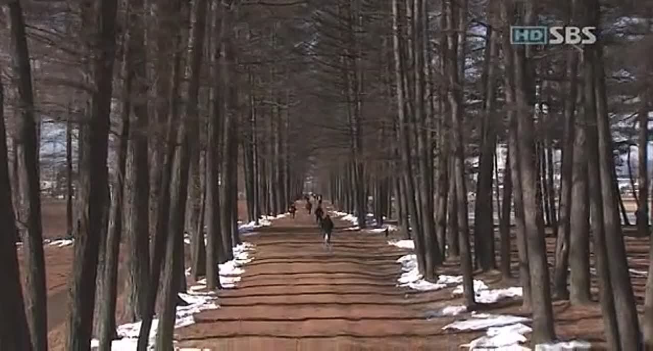 Tree of Heaven ( #ParkShinHye - #LeeWan )