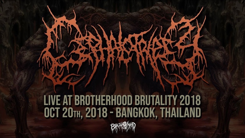 Brotherhood Brutality Fest 2018