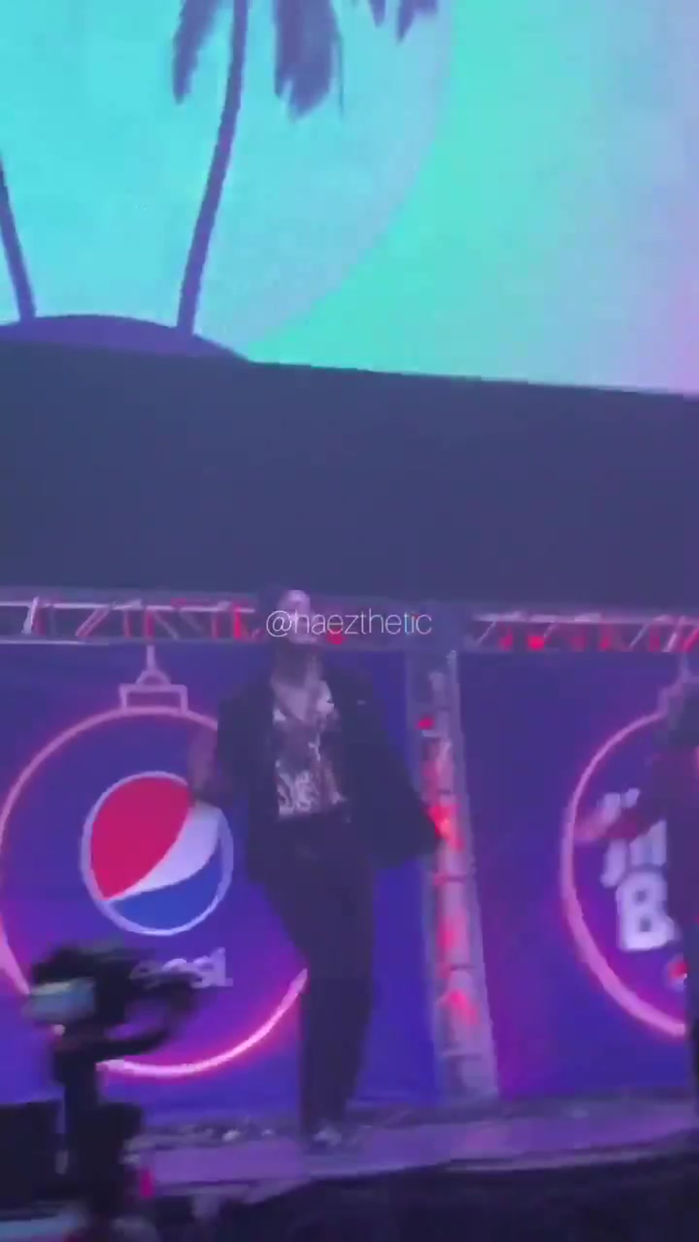 ‣ Fancam: Performance [4]