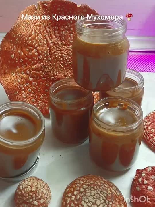 Знахарство. Траволечение. Травоведение.