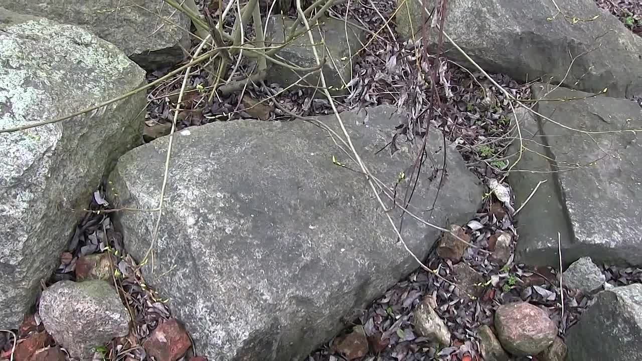 Альтернативная история.